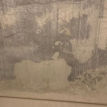 Ars Doku Tablo Kırık Çıktı