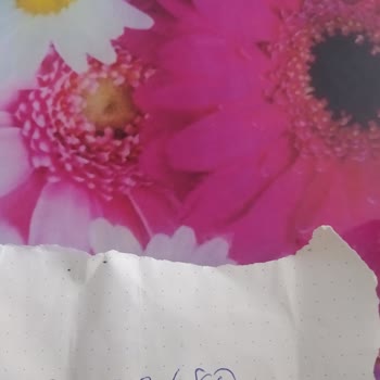 Migros Şikayet. Rax Pf20 Samyeli Ürün Teslim Edilmiyor