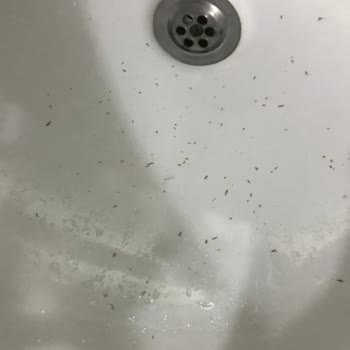 Yves Rocher'den Aldığım Krem Yüzümü Dökmeye Başladı