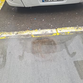 Kamil Koc Firmasi Dönüş Personeli Host