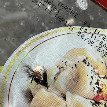 Beşler Sucuk Mantıda Şok! Deri Parçası Buldum