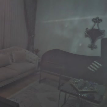 Samsung 65S95C Siyah Ekran Kaplama Lekesi