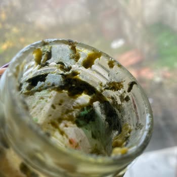 Tat Gıda Pesto Sos Küflenme Problemi