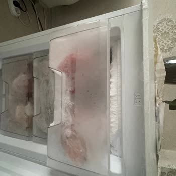 Uğur Derin Dondurucu Karlanma Problemi
