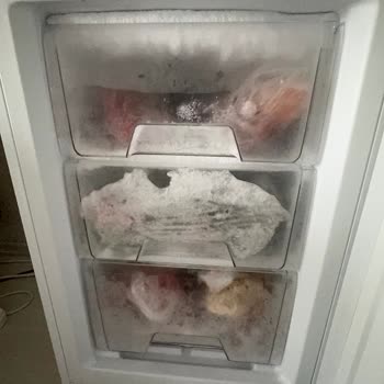 Uğur Derin Dondurucu Karlanma Problemi