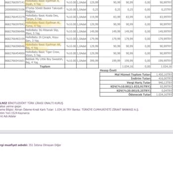 Ebebek Kalitesizliği Ve Kurumsala Aykırı Davranışlar Sergilemesi