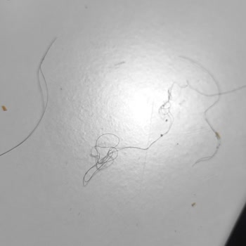 Köfteci Yusuf Balıkesir. Getir De Bu İşin Kolu