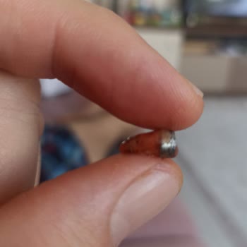 Evliya Şekerleme Evliya Şekerin İçinden Vida Çıktı