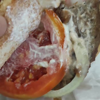 Burger King Okuma Yazma Bilmiyor