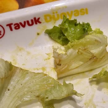 Tavuk Dünyasında Salatalar Yıkanmıyor