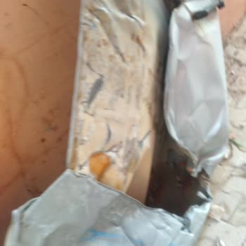 AFAD Depremzede Olarak Haklarımı Halen Ödemesini Yapmadı Kira Yardımı