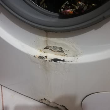Bosch Çamaşır Makinesinde Boya Atma Ve Çürüme Sorunu