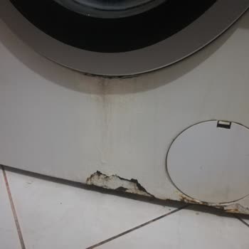 Bosch Çamaşır Makinesinde Boya Atma Ve Çürüme Sorunu