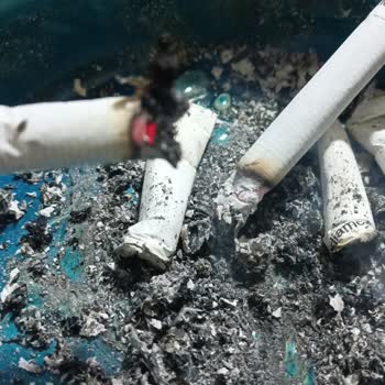 Parliament Sigaradan Dal Çıkıyor Yırtık Çıkıyor