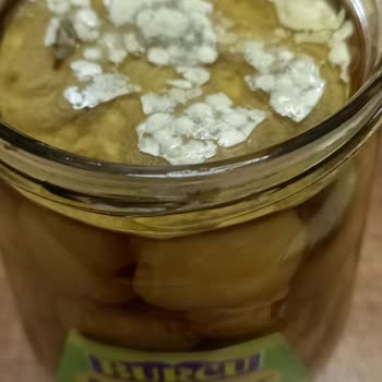 Burcu Gıda Konserve Üründeki Küf