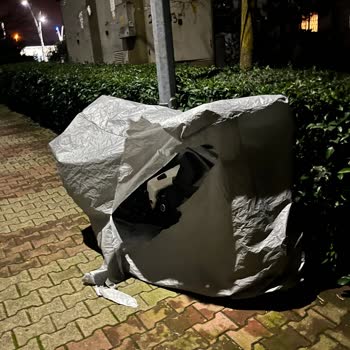 Arnavutköy Belediyesi TOKİ Konutları Köpek Sorunu