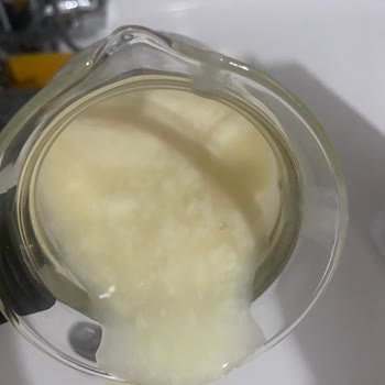 Sek Süt Bozuk Salep Tehlikesi