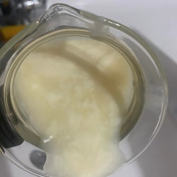 Sek Süt Bozuk Salep Tehlikesi