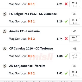 Misli Sistem Hatası