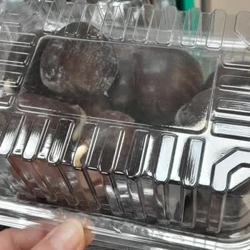 Migros Kestaneler Ne Kadar Zamandır Kutudaki Artık Filizlenmeye Başlamış