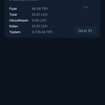 BTCTURK BTC Para Kaybetme