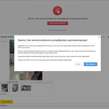 Sahibinden Köpek Sahiplendirme Hatası