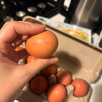 Migros'ta Organik Yumurta Yanıltmacası