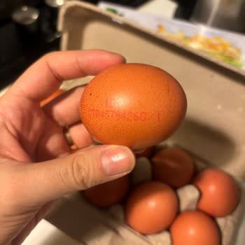 Migros'ta Organik Yumurta Yanıltmacası