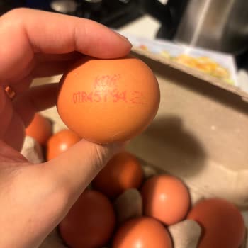 Migros'ta Organik Yumurta Yanıltmacası