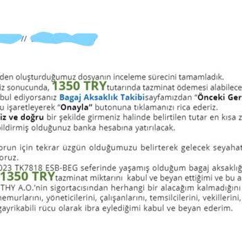THY Bagaj Tazminat Fiyaskosu