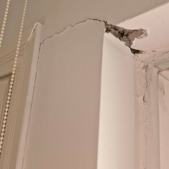 DASK (Doğal Afet Sigortaları Kurumu) Deprem Sonrası Eksik Tazminat Ve Yüksek Tadilat Fiyatları