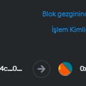 Metamask Gala Tokenlerim Başka Bir Hesaba Gönderildi