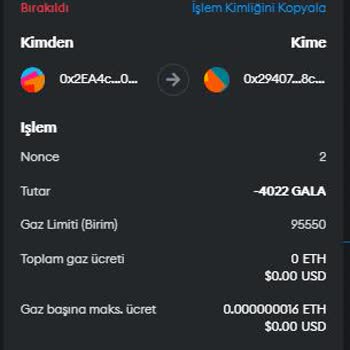 Metamask Gala Tokenlerim Başka Bir Hesaba Gönderildi