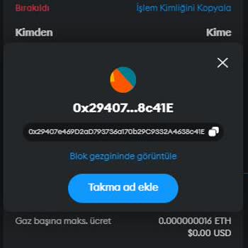 Metamask Gala Tokenlerim Başka Bir Hesaba Gönderildi