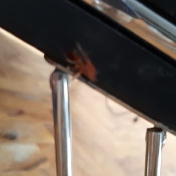 Özgüler Mobilya Koltuk Takımı Ve Mobilya Mağduriyeti