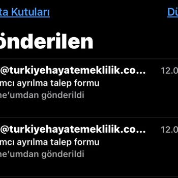 Türkiye Hayat Emeklilik BES Ayrılma Talep Formu Ücret İadesi