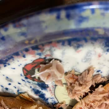 BİM Markası Derya Ton Balığının İçinden Çıkan Sert Kemik Parçası