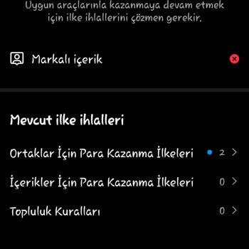 Instagram Markalı İçerik Uyarısı