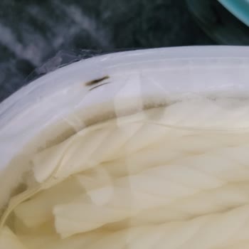 Muratbey Burgu Peynirden Kirpik Çıktı