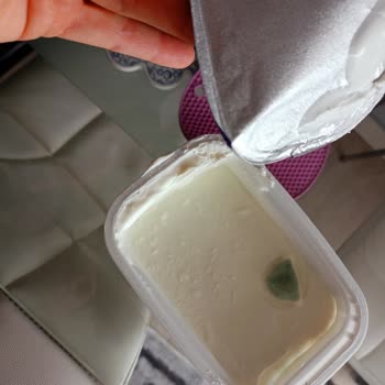 İçim Süzme Yoğurt Küflenmiş