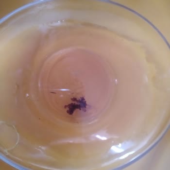 Link İçecek Çocukların Sağlığı Tehlikede!