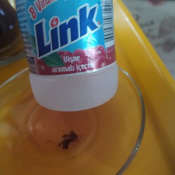 Link İçecek Çocukların Sağlığı Tehlikede!