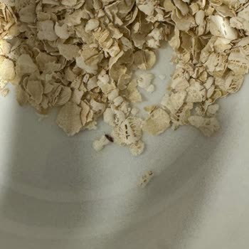 Eti Gıda Eti Lifalif Canlı Böcekli Yulaf Ezmesi