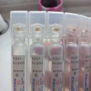 Enterogermina Kids Küflenme Sorunu