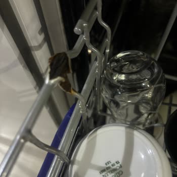 LG Bulaşık Makinesi Sepetleri Çürüdü