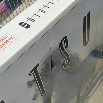 Yeni Aldığım TV Görüntüsü Çok Kötü Markası Dijitsu