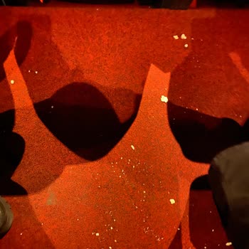 Paribu Cineverse Brandium Sineması Hijyen Sorunu