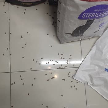 Mamaal.com Mamaal İade Sorunu