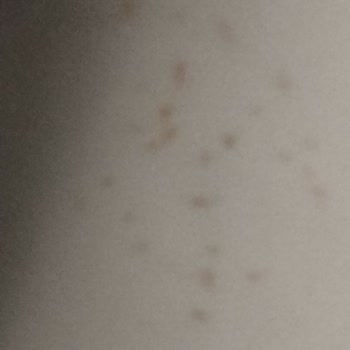 Siemens Ev Aletleri Buzdolabı Garanti Olmasına Rağmen Kabul Etmiyor...