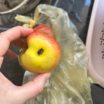 Yemeksepeti Mahalleden Zehirlenme Garantili Alışveriş